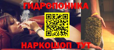 PSILOCYBIN Пушкино