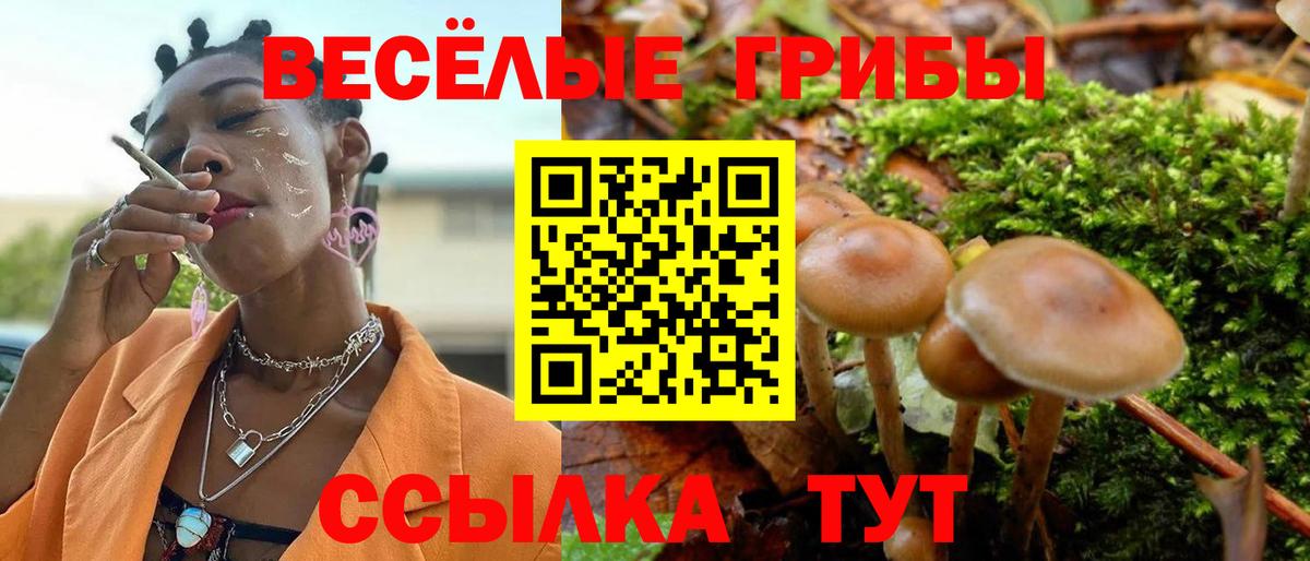 Новоуральск  Псилоцибиновые грибы ЛСД  Вход с VPN 