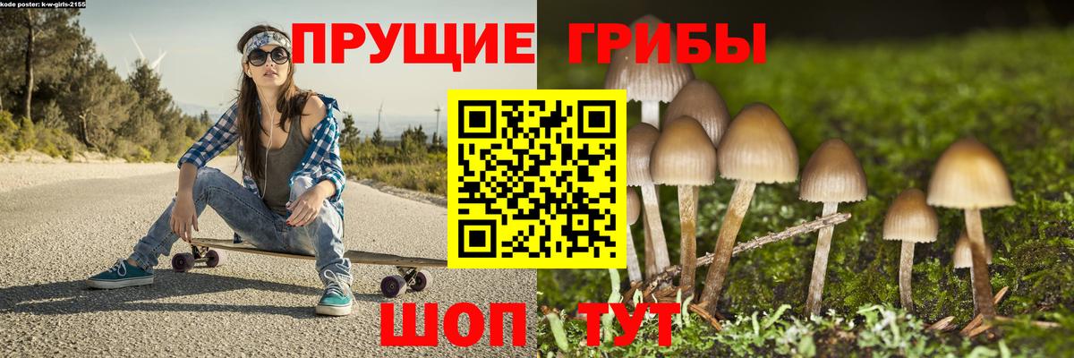 Псилоцибиновые грибы Psilocybe Новоуральск